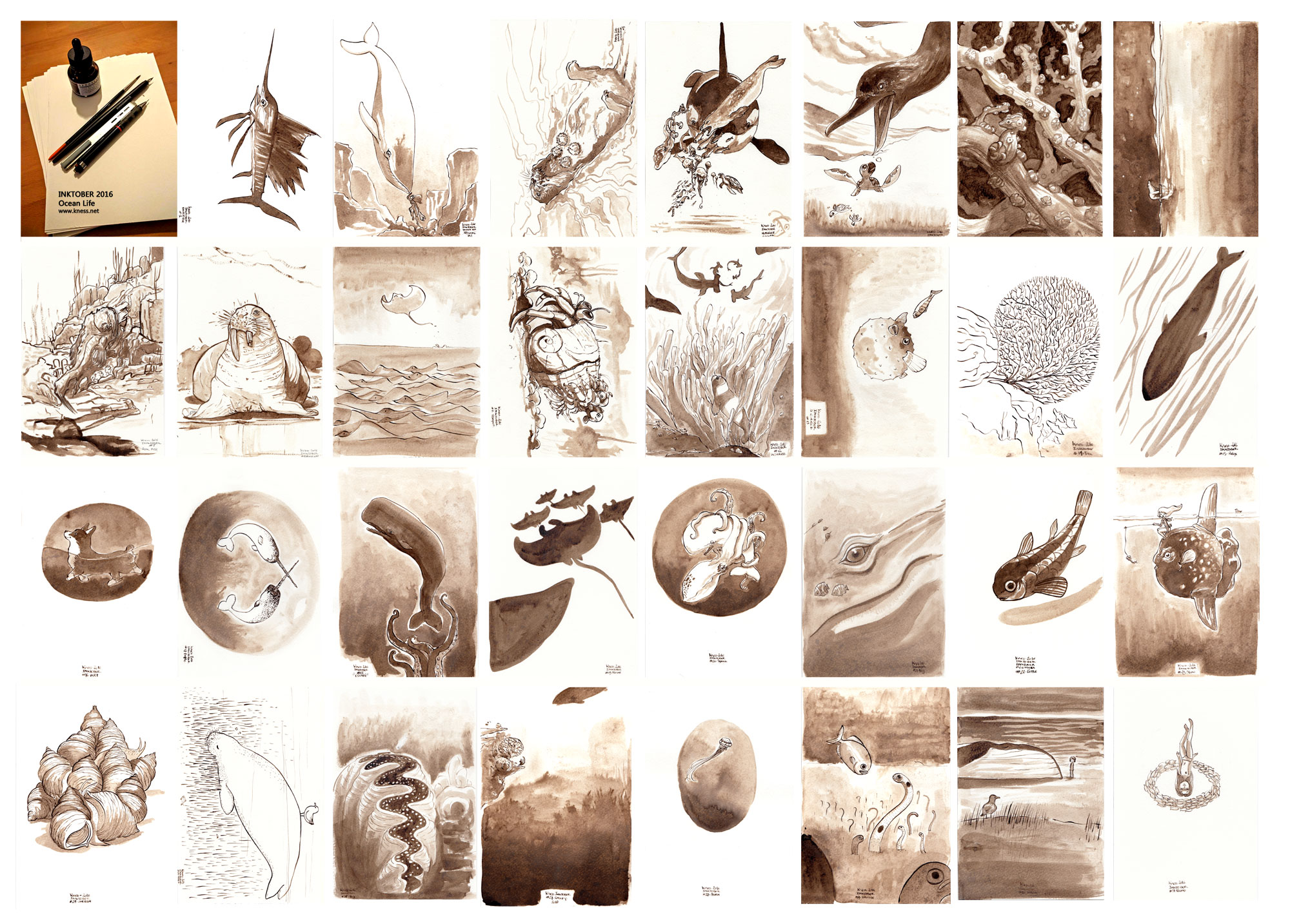 Inktober 2016 - la faune marine + la liste officielle