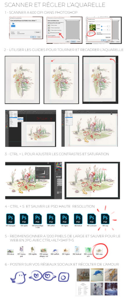 scanner une aquarelle étapes