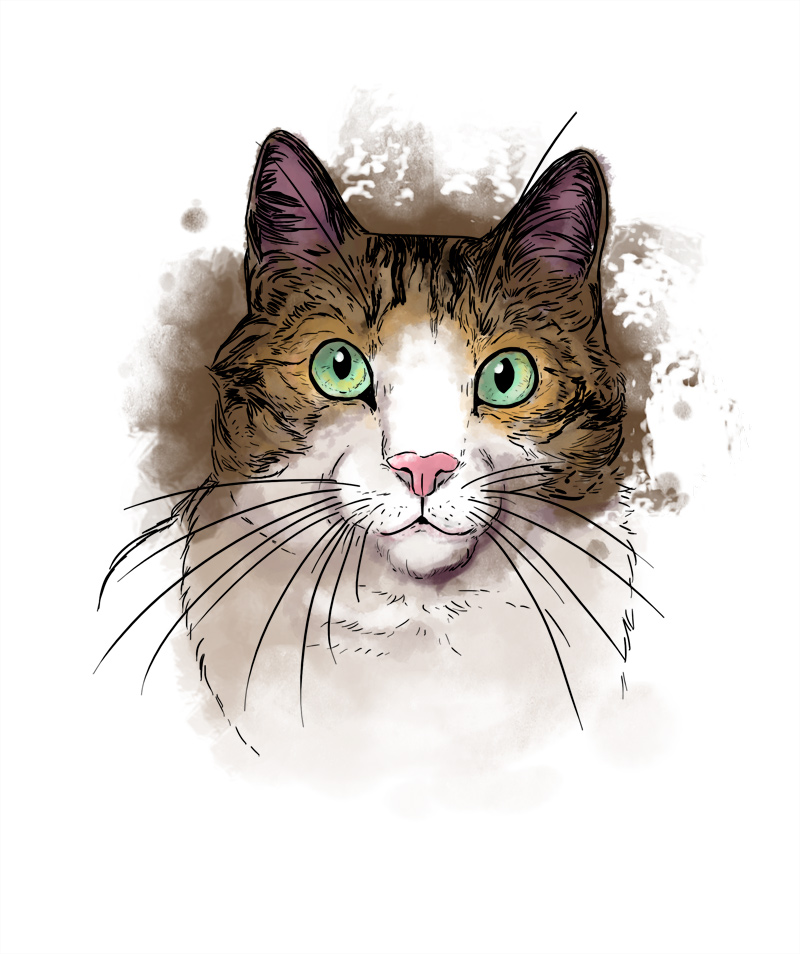 illustration numérique chat