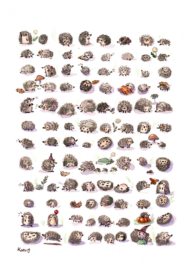 hedgehogs illustration watercolor