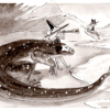 inktober dessin varan de komodo dragon