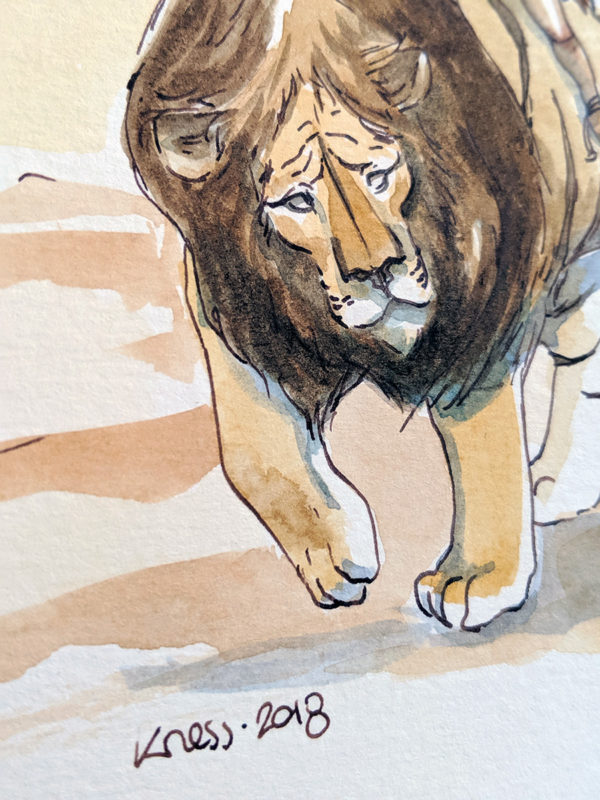 aquarelle enfant lion tigre