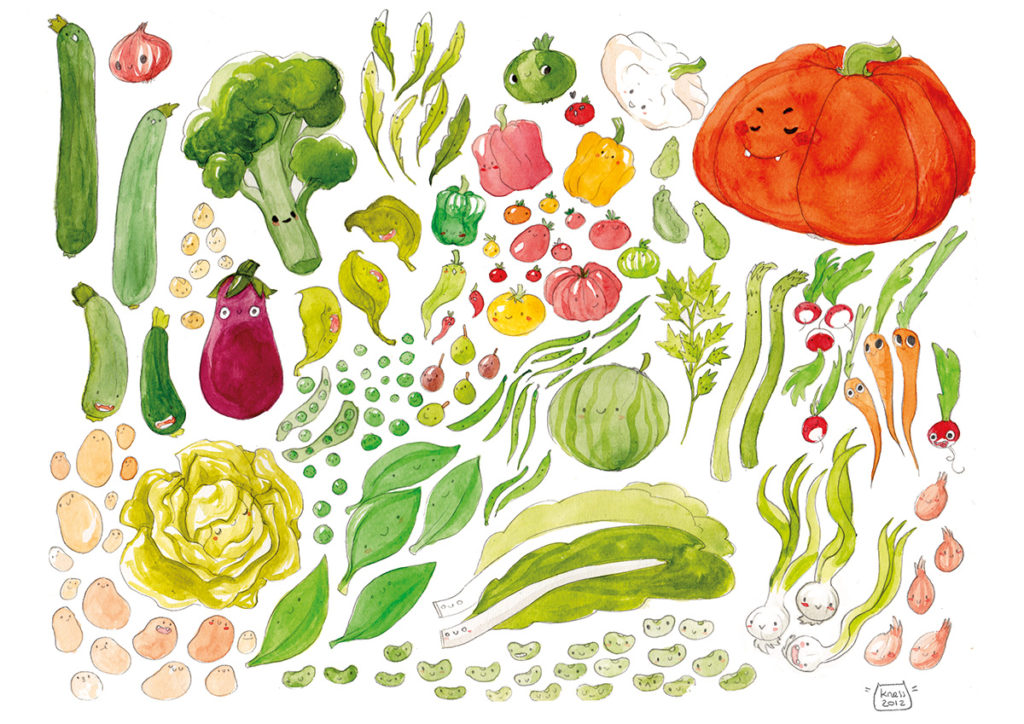 illustration cuisine legumes de saison été