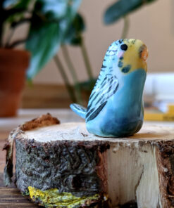 perruche bleue porcelaine