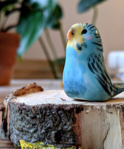 perruche bleue porcelaine