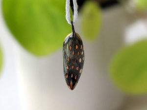 cockatiel ceramics gold pendant