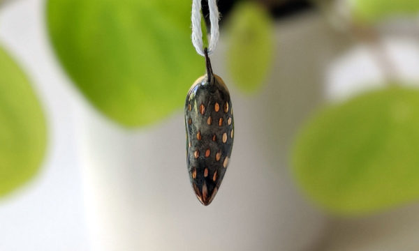 cockatiel ceramics gold pendant