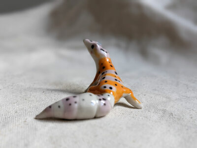 Leopard Gecko - Image 5