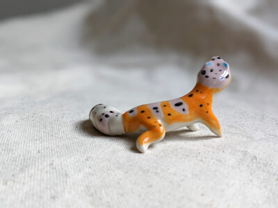 Leopard Gecko - Image 4