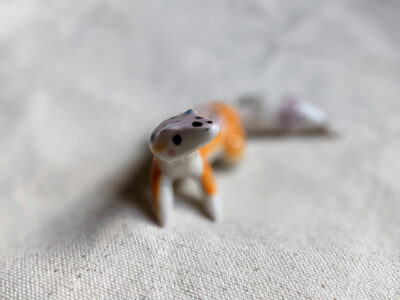 Leopard Gecko - Image 3