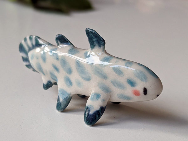 coelacanthe porcelaine