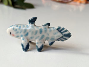 coelacanthe porcelaine