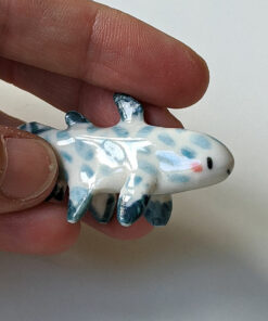 coelacanthe porcelaine