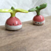 porcelain radish