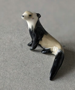 furet porcelaine ferret