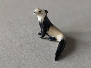 furet porcelaine ferret