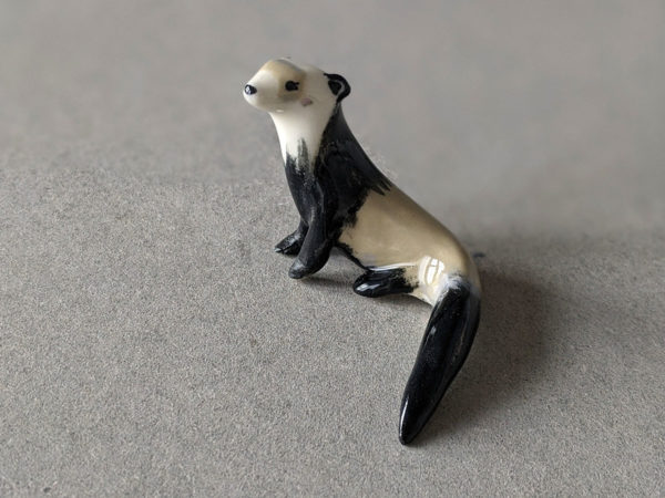 furet porcelaine ferret