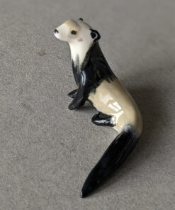 furet porcelaine ferret