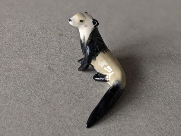 furet porcelaine ferret