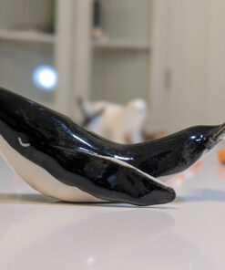 humpback whale