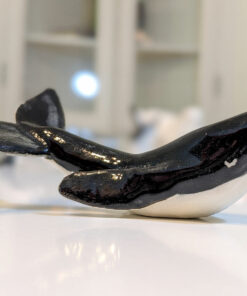 humpback whale