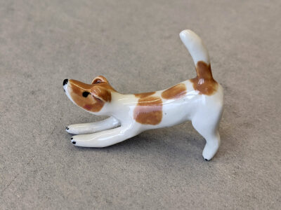 Jack Russel pour Chloé – Image 4