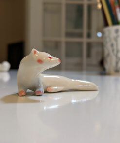albino ferret