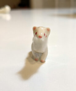 albino ferret
