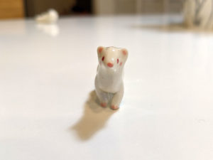 albino ferret