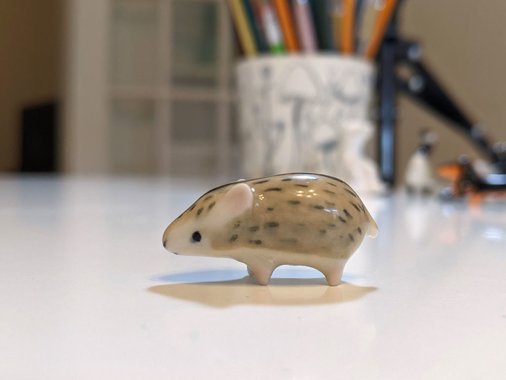 hamster russe porcelaine