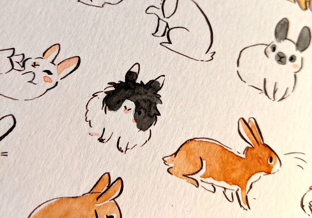 cute bunnies illustration : painting 