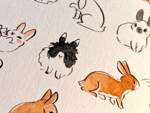 illustration lapins