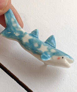 requin baleine etoilé