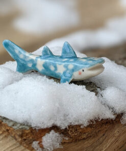 requin baleine etoilé