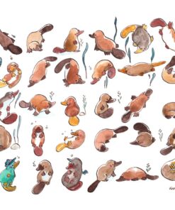 30 platypuses