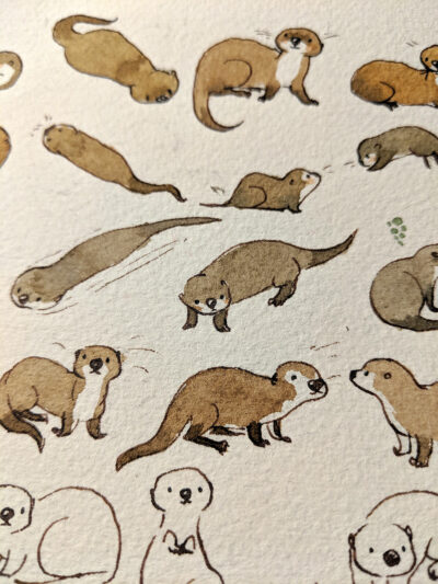peinture loutre