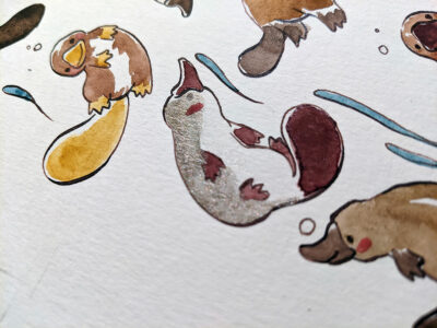 Peinture originale - 30 Ornithorynques – Image 6