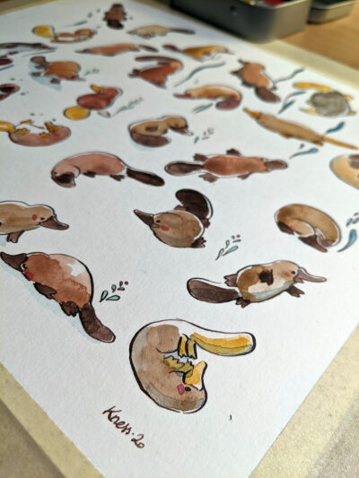 Peinture originale - 30 Ornithorynques – Image 5