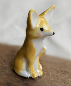 fennec fox