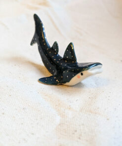 whale shark