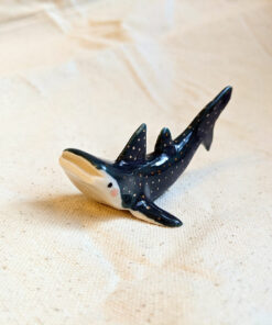 whale shark