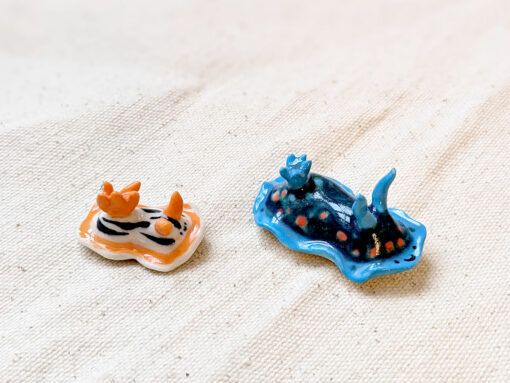 Porcelain Nudibranch