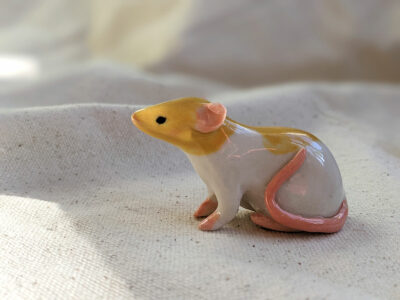 Famille de Rats – Image 9