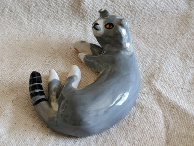 chat scottish fold