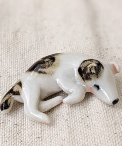 Sleeping Jack Russel