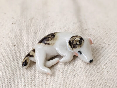 Jack Russel endormi