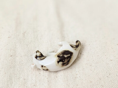Jack Russel endormi – Image 3
