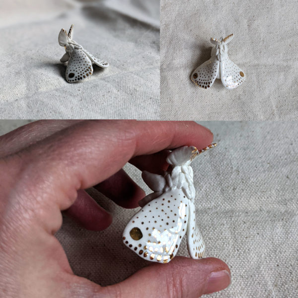 porcelain moth