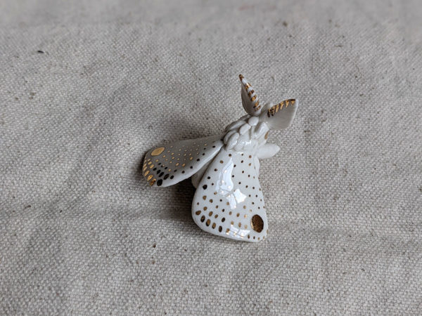 moth porcelain