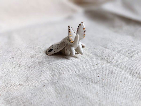 moth porcelain